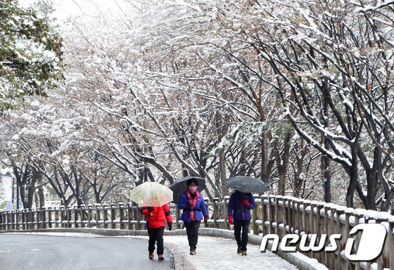 首爾普降大雪 韓國多地發布大雪警報【組圖】