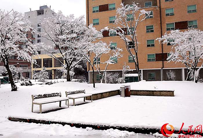 2015年首爾第一場大雪 比往年來得晚一些【組圖】
