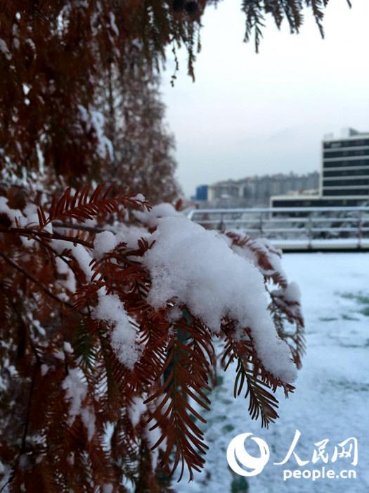 2015年首爾第一場大雪 比往年來得晚一些【組圖】