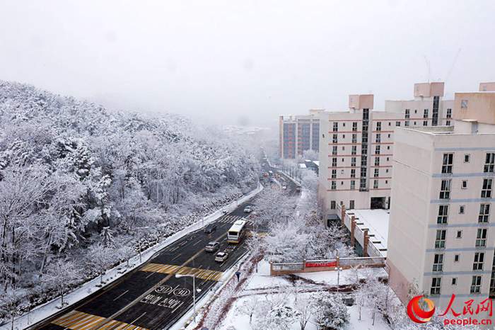 2015年首爾第一場大雪 比往年來得晚一些【組圖】