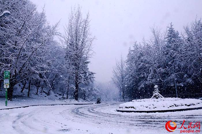 2015年首爾第一場大雪 比往年來得晚一些【組圖】
