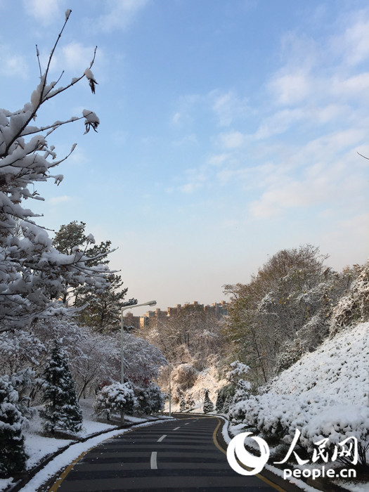 2015年首爾第一場大雪 比往年來得晚一些【組圖】