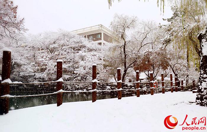 2015年首爾第一場大雪 比往年來得晚一些【組圖】