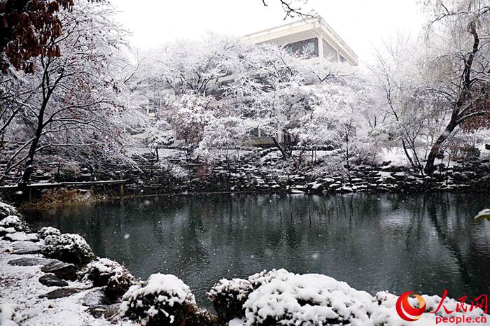 2015年首爾第一場大雪 比往年來得晚一些【組圖】