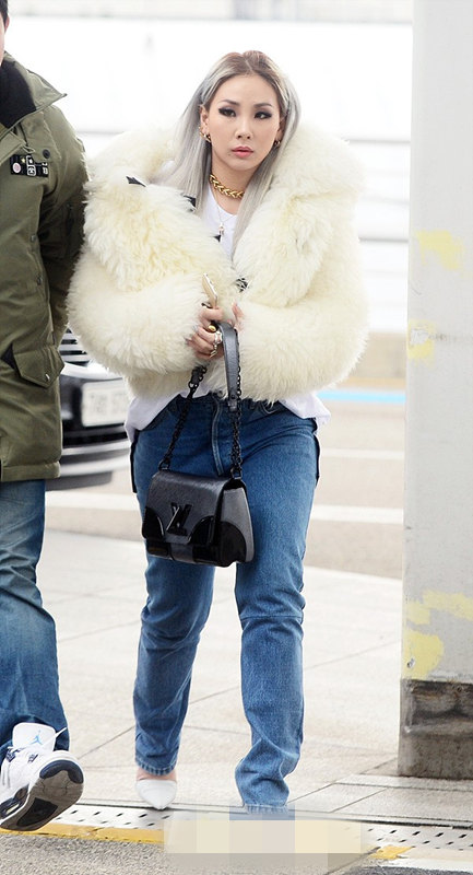 少女時代允兒泰妍CL樸敏英泫雅 韓國女星教你秀出皮草style【組圖】