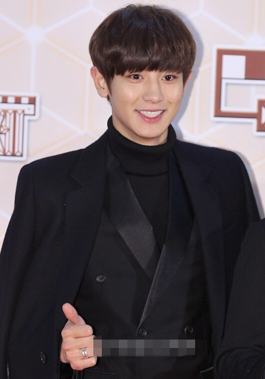 “KBS歌謠大祝祭”紅毯匯總 exo少女時代鄭容和Got7齊現身【組圖】