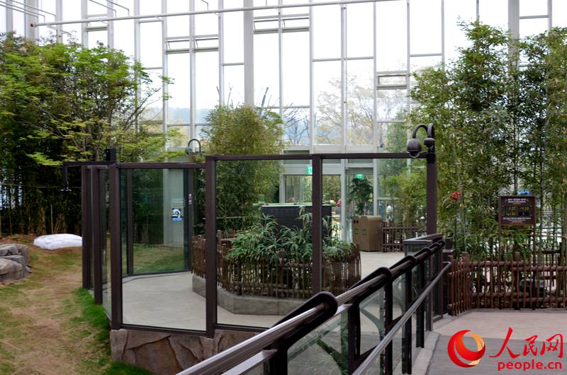 “專訪”中韓友好大使“愛寶”“樂寶”