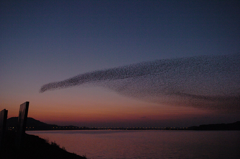 富饒美麗的歷史名城——韓國群山