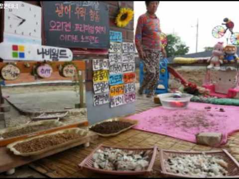 韓流浪貓“表演”吃東西 上萬網民守屏等現身（組圖）