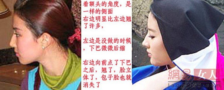 中韓女神也整容 宋慧喬整鼻子劉亦菲翹下巴【組圖】