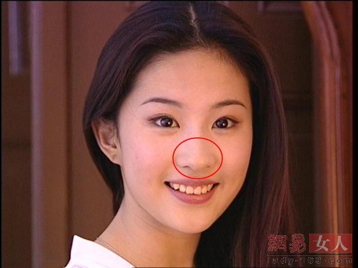 中韓女神也整容 宋慧喬整鼻子劉亦菲翹下巴【組圖】