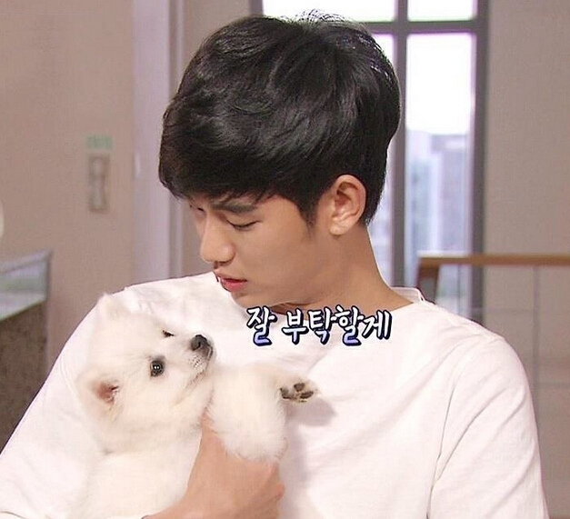 宋仲基權志龍金秀賢李敏鎬李鐘碩 韓國白衣男神全盤點【組圖】