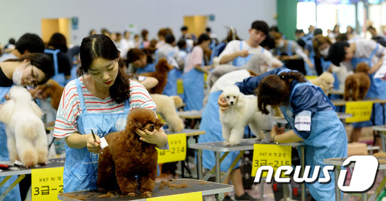 韓國舉行汪星人顏值比賽 寵物狗美容師世紀大對決【組圖】