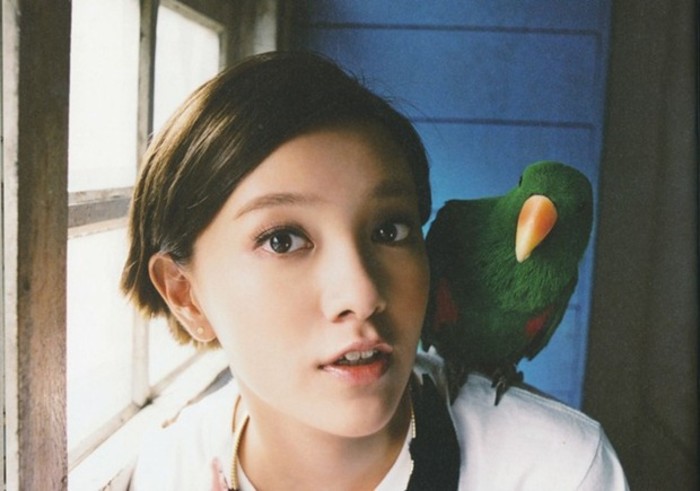 鄭爽短發美出新高度 盤點中韓女星驚艷短發造型【組圖】