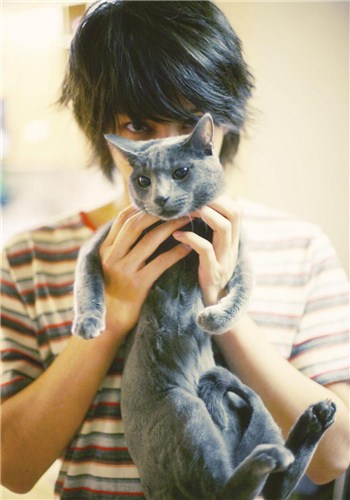 Bigbang權志龍EXO金希澈崔始源 韓國愛豆都愛萌寵【組圖】