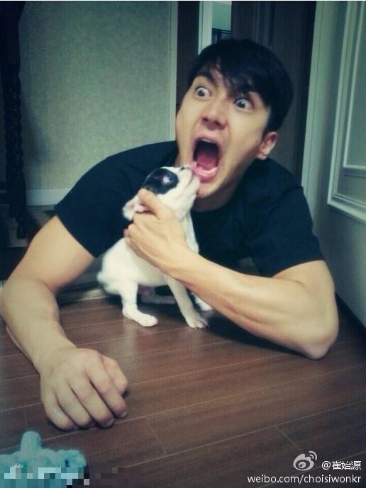 Bigbang權志龍EXO金希澈崔始源 韓國愛豆都愛萌寵【組圖】