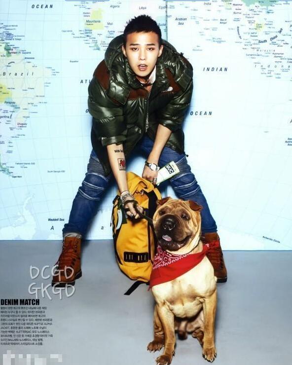 Bigbang權志龍EXO金希澈崔始源 韓國愛豆都愛萌寵【組圖】