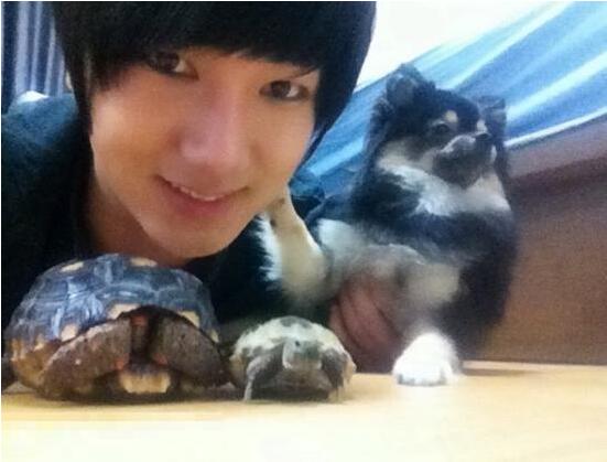 Bigbang權志龍EXO金希澈崔始源 韓國愛豆都愛萌寵【組圖】