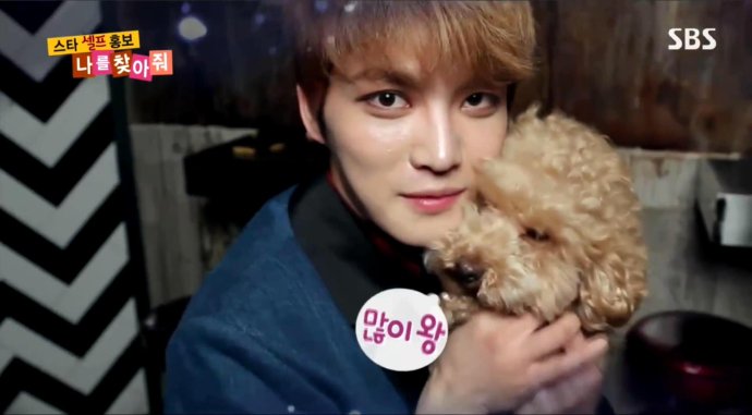 Bigbang權志龍EXO金希澈崔始源 韓國愛豆都愛萌寵【組圖】