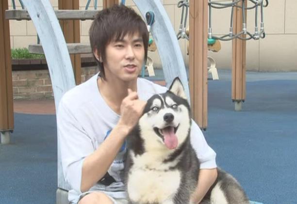 Bigbang權志龍EXO金希澈崔始源 韓國愛豆都愛萌寵【組圖】