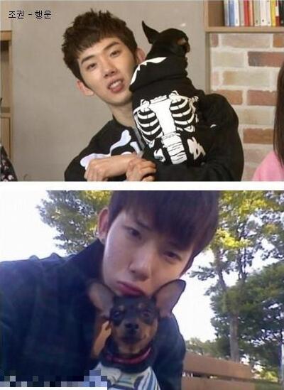 Bigbang權志龍EXO金希澈崔始源 韓國愛豆都愛萌寵【組圖】