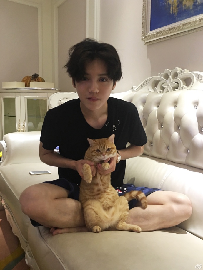 Bigbang權志龍EXO金希澈崔始源 韓國愛豆都愛萌寵【組圖】