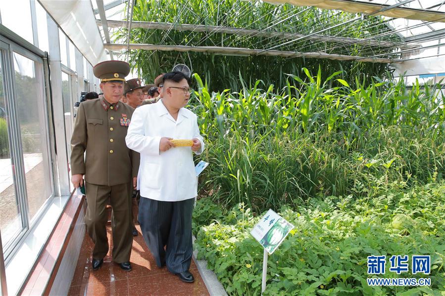 金正恩視察朝鮮人民軍第810部隊所屬1116號農場（組圖）