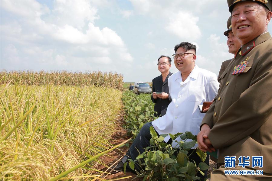 金正恩視察朝鮮人民軍第810部隊所屬1116號農場（組圖）