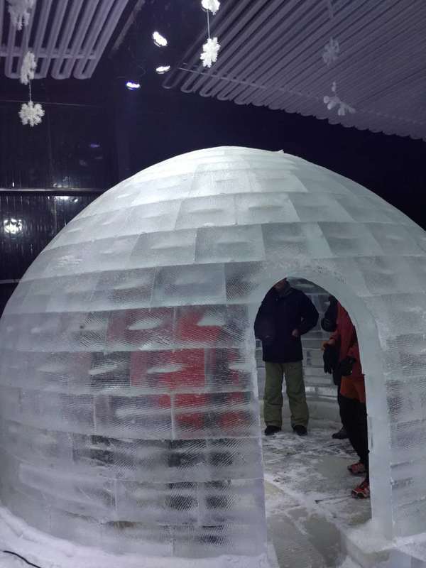 傅園慧野外吃蛇稱“很酷” 有人還熱衷這些極限挑戰【組圖】