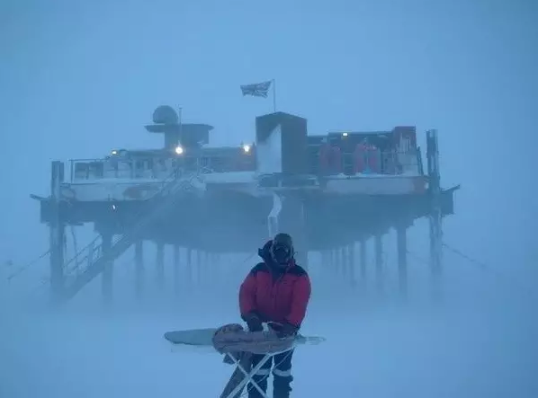 傅園慧野外吃蛇稱“很酷” 有人還熱衷這些極限挑戰【組圖】