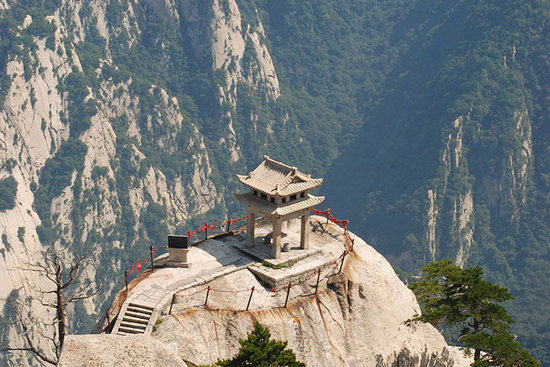 傅園慧野外吃蛇稱“很酷” 有人還熱衷這些極限挑戰【組圖】