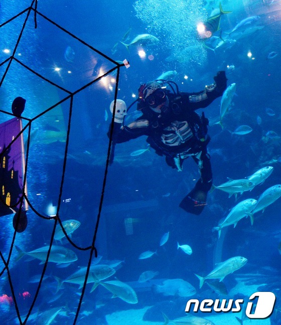 萬圣節將至 韓國水族館“驚險之夜”恐怖指數爆表【組圖】