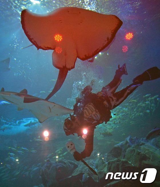 萬圣節將至 韓國水族館“驚險之夜”恐怖指數爆表【組圖】