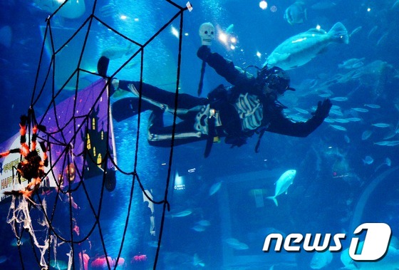 萬圣節將至 韓國水族館“驚險之夜”恐怖指數爆表【組圖】