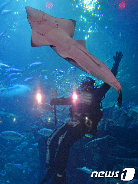 萬圣節將至 韓國水族館“驚險之夜”恐怖指數爆表【組圖】
