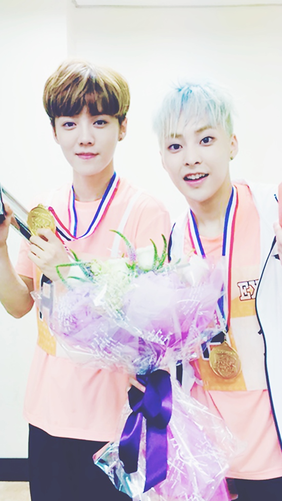 ¹cٝXIUMIN xWч^MD6