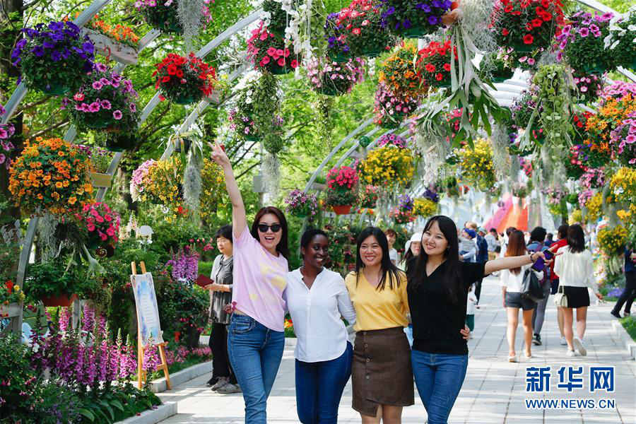 5月10日，在韓國京畿道高陽市，游客在2019高陽國際花卉博覽會上合影。新華社記者 王婧嬙 攝