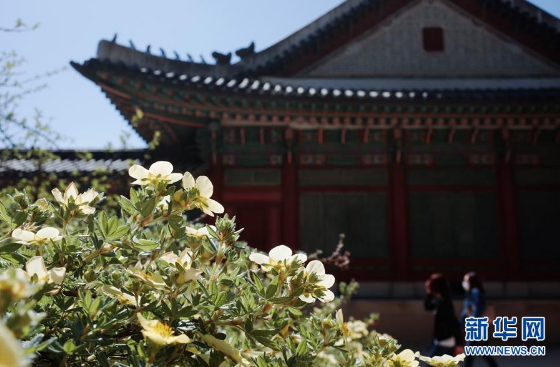 5月21日，游客在韓國首爾昌德宮內游覽。新華社記者 王婧嬙 攝