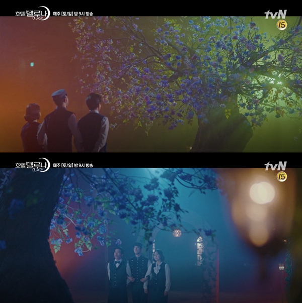 {Ƶ꡷11A湫_ MLxӭYMD5