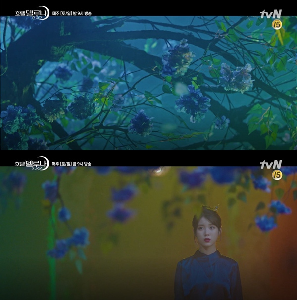 {Ƶ꡷11A湫_ MLxӭYMD6