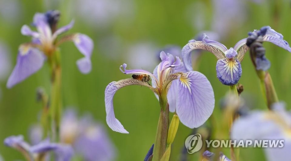 22נֲB@ш@۷ڲɻ