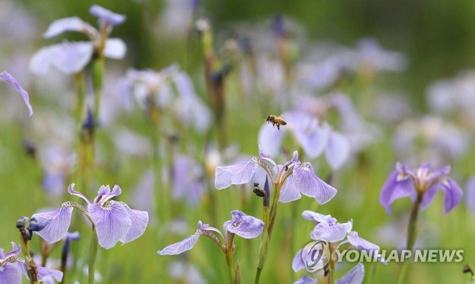 22נֲB@ш@۷ڲɻ