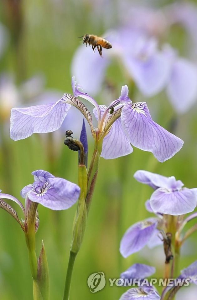 22נֲB@ш@۷ڲɻ