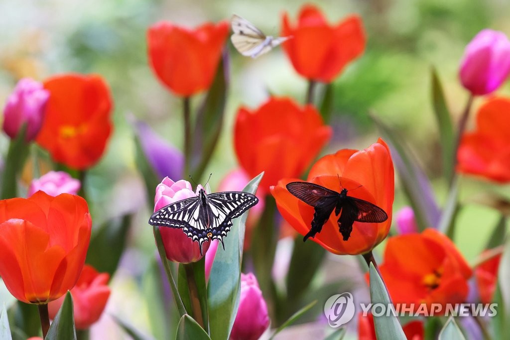 MDnی@wݡٻ3