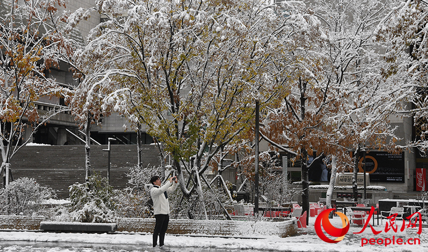 11月27日，游客在韓國首爾拍攝今冬第一場雪景。人民網 李帆攝