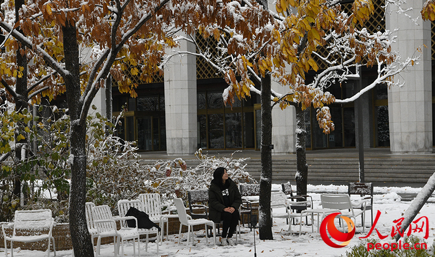 11月27日，市民在雪中拍照。人民網 李帆攝