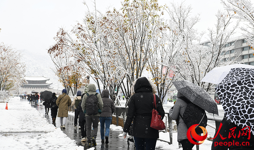 11月27日，市民走在積雪覆蓋的韓國首爾光化門廣場。人民網 柳美鉉攝
