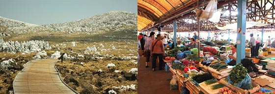 濟州市民俗五日集市供圖