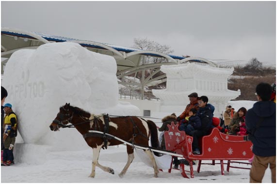 在雪花節現場盡情體驗雪原馬車。不僅是孩子，也將大人們帶回了童年。