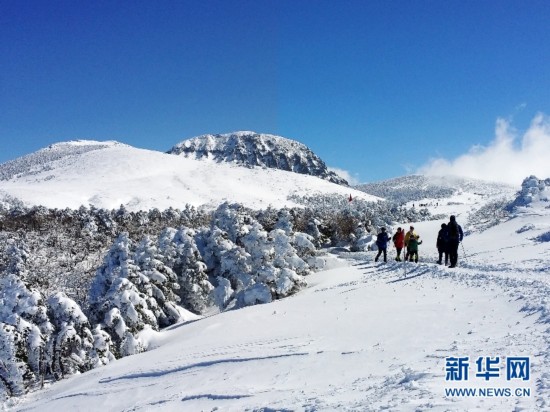2月15日，登山者攀登韓國漢拿山御里牧線的四燕小山。新華社記者彭茜攝。